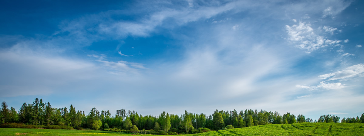 社會(huì)責(zé)任